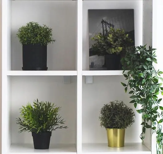 Lam Waves - Ac - Terrace Appartement